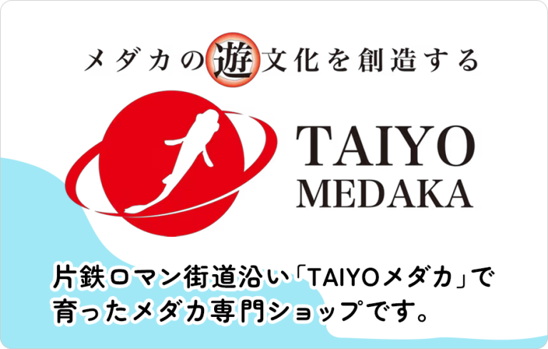 改良メダカ育成・販売事業｜岡山和気のTAIYOメダカ【太陽