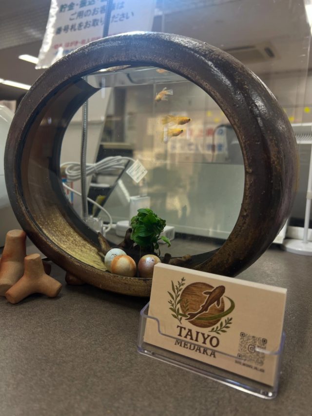 TAIYO CORPORATION｜岡山和気のおもちゃ屋「太陽コーポレーション